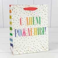 Пакет подарочный       