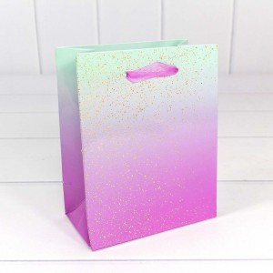 Пакет подарочный