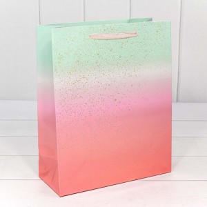 Пакет подарочный