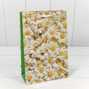 Пакет подарочный