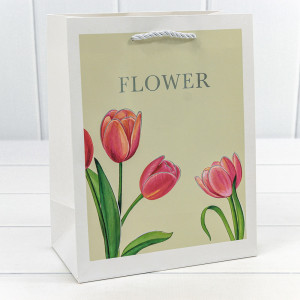 Пакет подарочный    