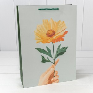 Пакет подарочный      