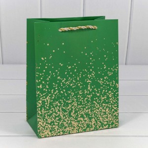 Пакет подарочный