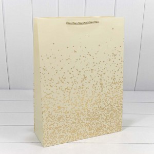 Пакет подарочный