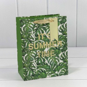 Пакет подарочный