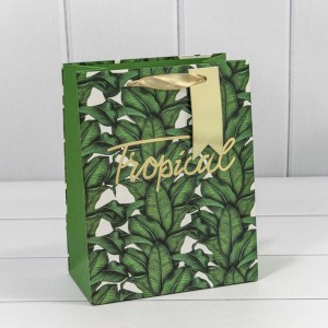 Пакет подарочный