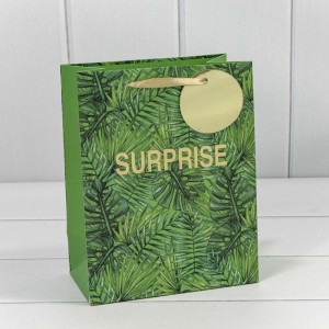 Пакет подарочный