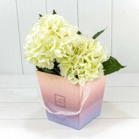 Коробка "Ваза для цветов"