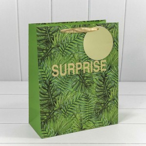 Пакет подарочный