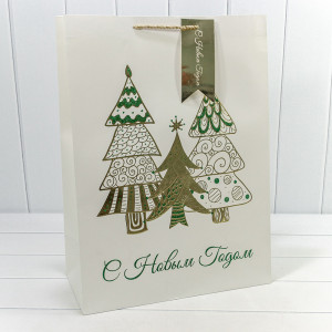 Пакет подарочный 