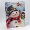Пакет подарочный     