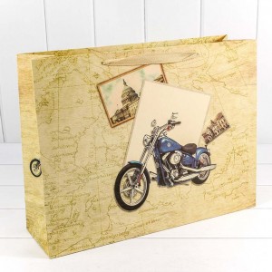 Пакет подарочный