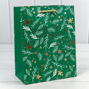 Пакет подарочный 