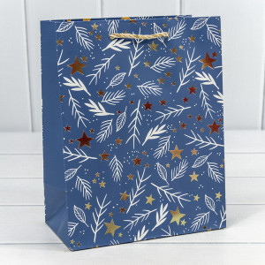 Пакет подарочный 