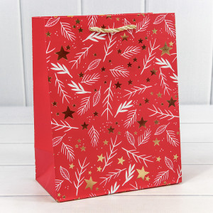 Пакет подарочный 