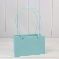 Пакет подарочный    