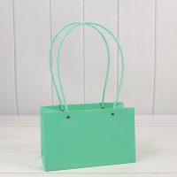 Пакет подарочный    