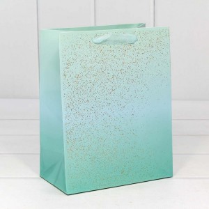 Пакет подарочный 