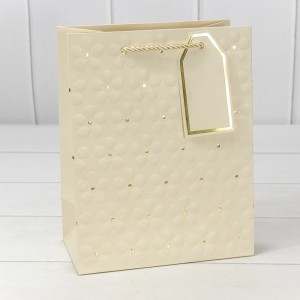 Пакет подарочный    