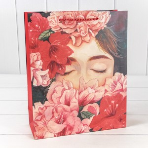 Пакет подарочный    