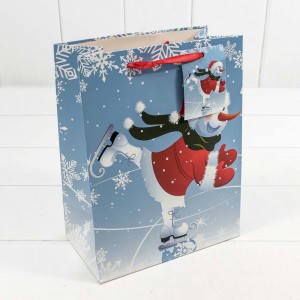 Пакет подарочный