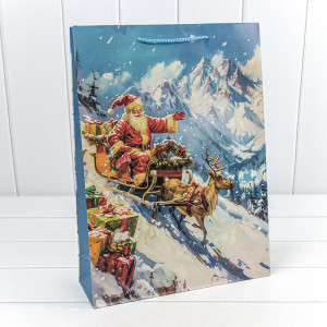 Пакет подарочный    