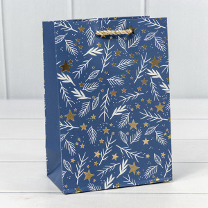 Пакет подарочный  