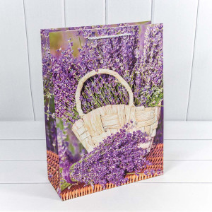 Пакет подарочный      