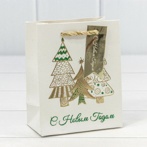 Пакет подарочный  