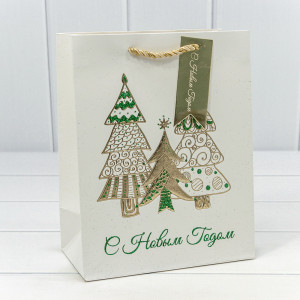 Пакет подарочный 