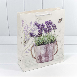 Пакет подарочный     