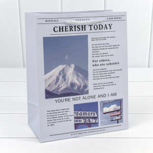 Пакет подарочный 