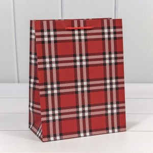 Пакет подарочный