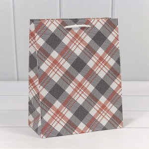 Пакет подарочный