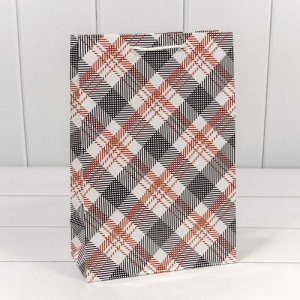 Пакет подарочный