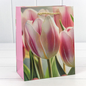 Пакет подарочный     