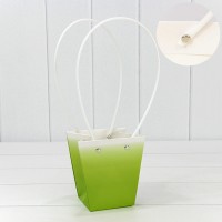 Пакет подарочный  